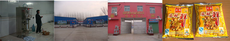 袋裝液體灌裝機