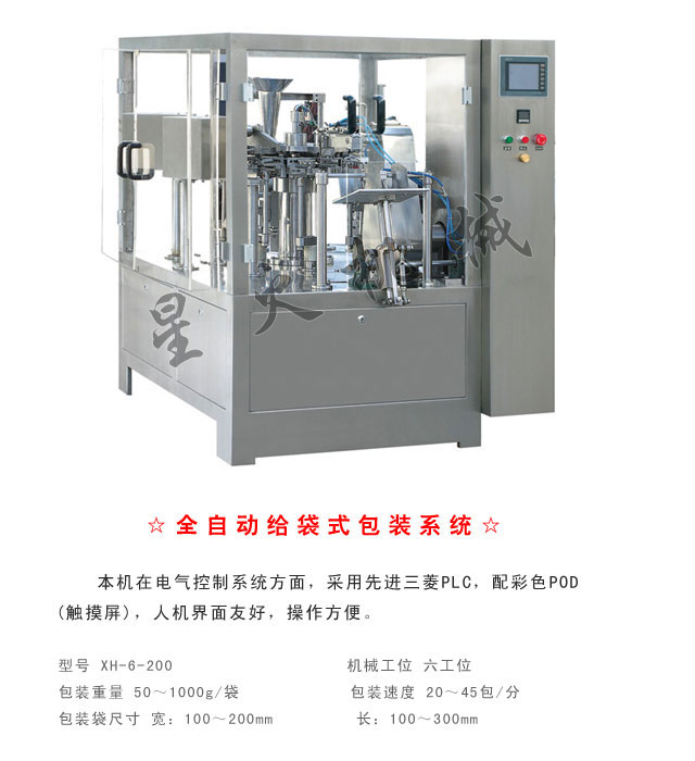 全自動給袋式包裝系統